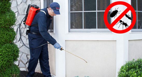 Muş Gümüşkurt İlaçlama böcek ilaçlama ve haşere kontrolü — ilaclama-tr.com